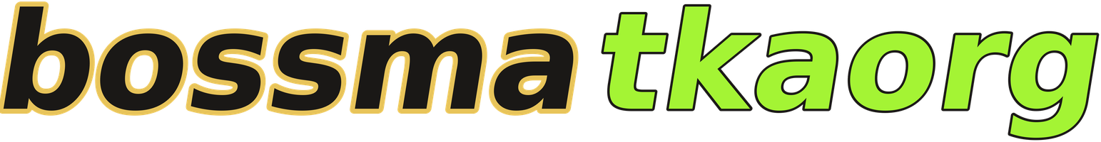 bossmatkaorg logo
